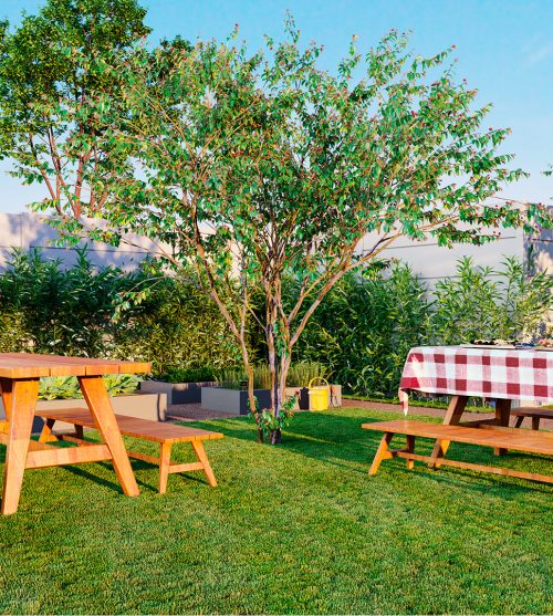 SQUAD LONGITUDE LIFE HORTA ALTA